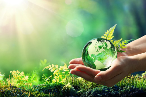 sustainable salon in Queensland
